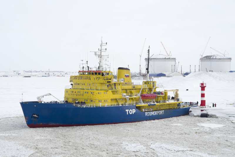 Chinese Container Ship Completes First Regular Arctic Voyage to UK via Northern Sea Route