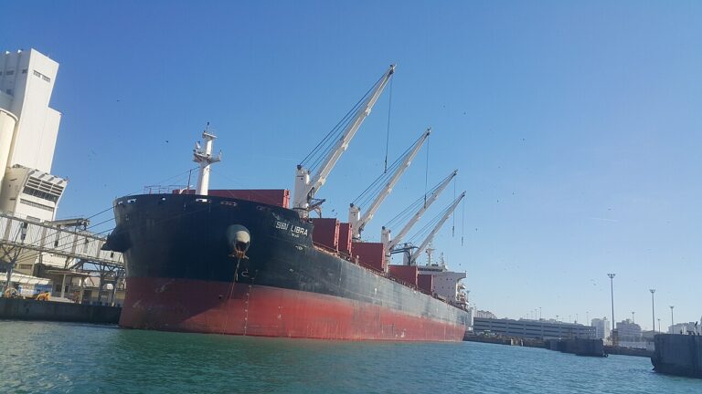 Almi Marine Founder Evgenia Daskalopoulou, Pioneer of Greek Dry Bulk Shipping, Dies at 67